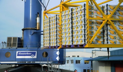 Chiquita verruilt na 33 jaar Antwerpse haven voor Vlissingen